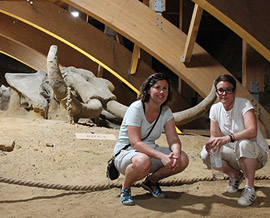 Smederevo Fortress And Viminacium