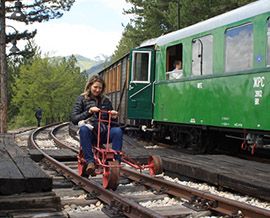 Zlatibor and Sargan Eight Train