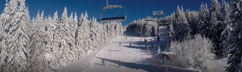 Pogled na stazu i skijaše sa ski žice na Kopaoniku