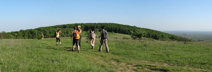 Hikers are crossing meadow of Fruska gora.