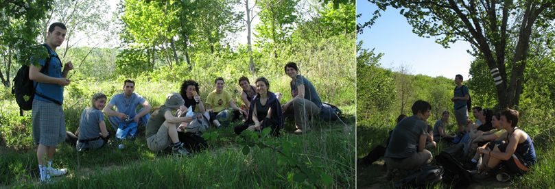 Group of hikers are taking a break in tree shadow on Fruska gora