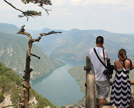 Tara National Park And Mokra Gora