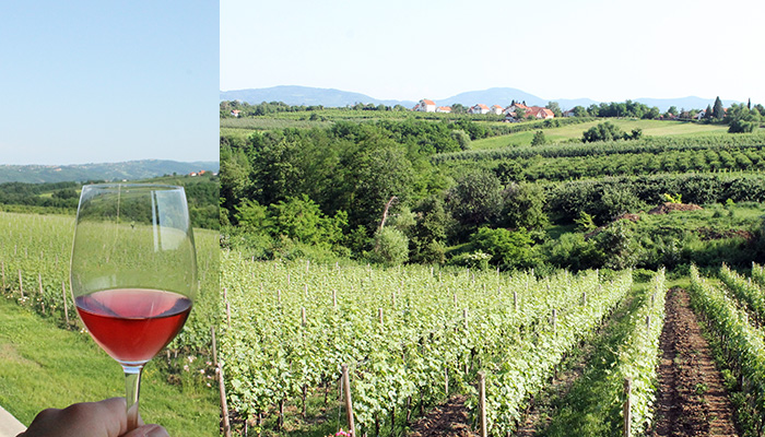 Vineyards of Sumadija in summer.